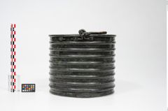 Foto von Bronzerippenziste (NHMW-PRAE-025670)